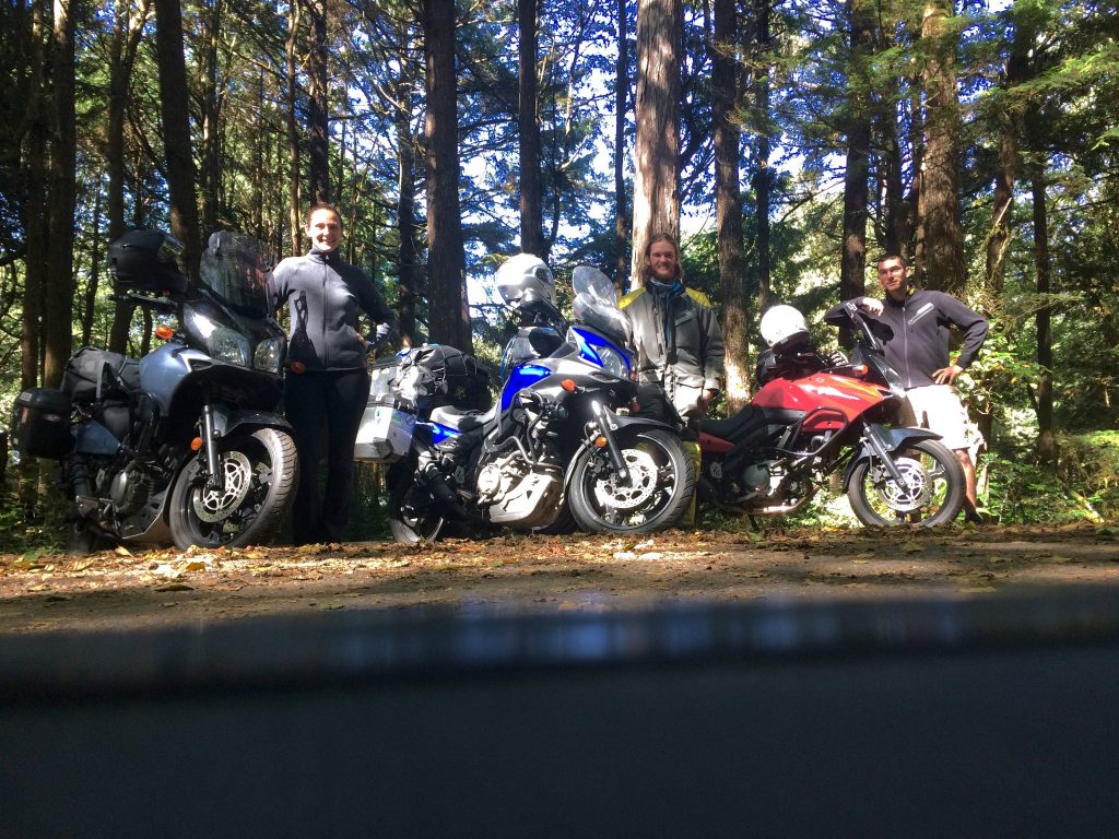 Fast Friends!: While at the Olympic National Forest campground I met this really awesome newlywed couple Mike And Madelyn Kotosky and their beautiful V-stroms! They are currently on their honeymoon and decided to ride around the US from Connecticut! What a blast to meet them!